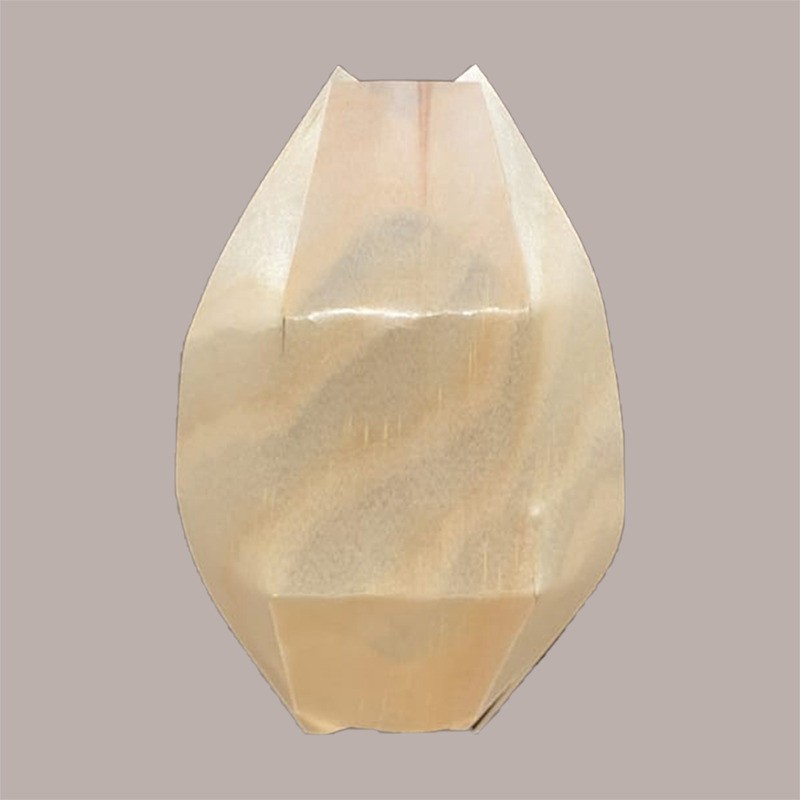 100 Pz Barchetta Palma Piccola Finger Food Aperitivo 115x70mm [3da7cafd]