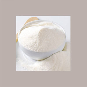 1 Kg Panna in Polvere 75% Latte Arricchito in Materia Grassa REIRE [8e92e276]