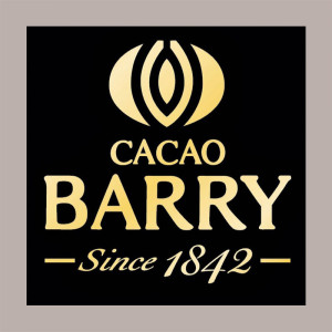 3 Kg Massa di Cacao Pura 100% in Pistoles Barry [cc787c30]