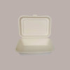 50 Pz Contenitore + Coperchio Fast Food 251X162H48/63 Bio Eco [75c6f495]