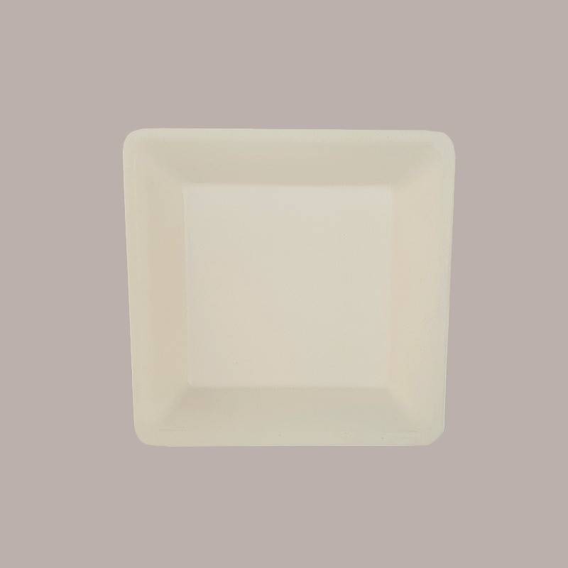 50 Piatto Biodegradabile Eco Quadrato 26x26 Carta Polpa Cellulosa [6f06fe1b]