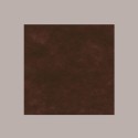 25 Pz Tovaglia TNT Marrone Scuro Monouso 45 gr 100x100 [ff7f8982]