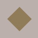 25 Pz Tovaglia TNT Tessuto non Tessuto Nocciola 45 gr 100x100 [42c2c6ba]