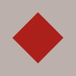 100 Pz Tovagliette TNT Tinta Unita Colore Rosso Monouso 33x45 [94a35154]