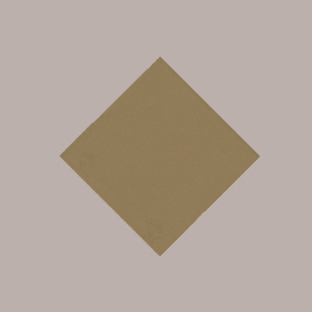 100 Pz Tovagliette TNT Tinta Unita Colore Nocciola Monouso 33x45 [9e03df68]