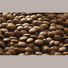 2,5 Kg Cioccolato di Copertura Latte 841 41% Cacao Min. Callebaut [5de4fa07]