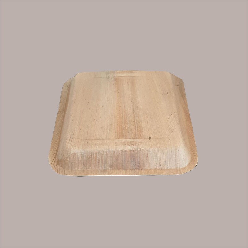25 Pezzi Piatto Quadrato Grande Foglia Palma Bio 24x24 [5936eb2a]