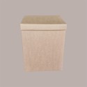 5 Pz Scatola Baule + Coperchio Carta Avana 250x250H300 mm [f067c644]