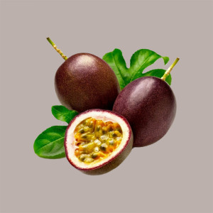 1,25 Kg Polpa Frutta Gusto Fruit Passion Mixyfruit Cocktail FABBRI