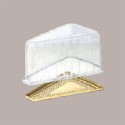 100 Pz Vassoio+Coperchio Medoro Oro Fetta Torta 160x120H85 mm [05c17ed3]