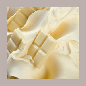 6 Kg Crema al Cioccolato Bianco Variegato Salsa GALAK Nestlè [1d2c9d51]