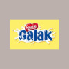 6 Kg Crema al Cioccolato Bianco Variegato Salsa GALAK Nestlè [76475846]