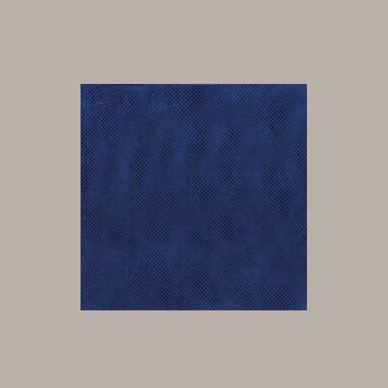 25 Pz Tovaglia TNT Tessuto non Tessuto Blu 45 gr 100x100 [9a186b0b]