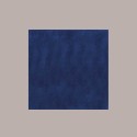 25 Pz Tovaglia TNT Tessuto non Tessuto Blu 45 gr 100x100 [9a186b0b]