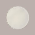 25 Pezzi Piatto Bio Eco Pizza Dm33 in Carta Polpa Pura Cellulosa [327eb223]
