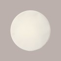 25 Pezzi Piatto Bio Eco Pizza Dm33 in Carta Polpa Pura Cellulosa [37feed5b]