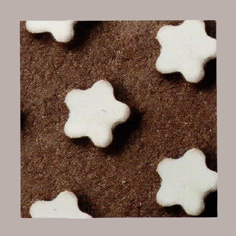 500 Pz Biscotto Cacao per Gelato Stellina Gluten Free BREAK&GO [ad15192f]