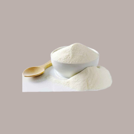 1 Kg Latte Polvere Scremato Istantaneo Delattosato Senza Lattosio [50ee7fc6]