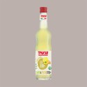 740 gr Sciroppo per Granita Gusto Limone&Zenzero Zero Calorie Senza Zuccheri Toschi [6c7f43a8]
