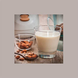 1,3 Kg Sciroppo Concentrato per Granita Gusto Latte di Mandorla Mixybar Fabbri [4cb205c8]
