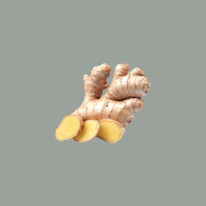 1,3 Kg Sciroppo Concentrato per Granita Gusto Zenzero Ginger Mixybar Fabbri