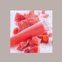 1 Pz Supporto Abbattitore per Stampi Ghiaccioli Calippo Icetube Fruitube 28 Sedi Plastica Bianca [454e39c3]