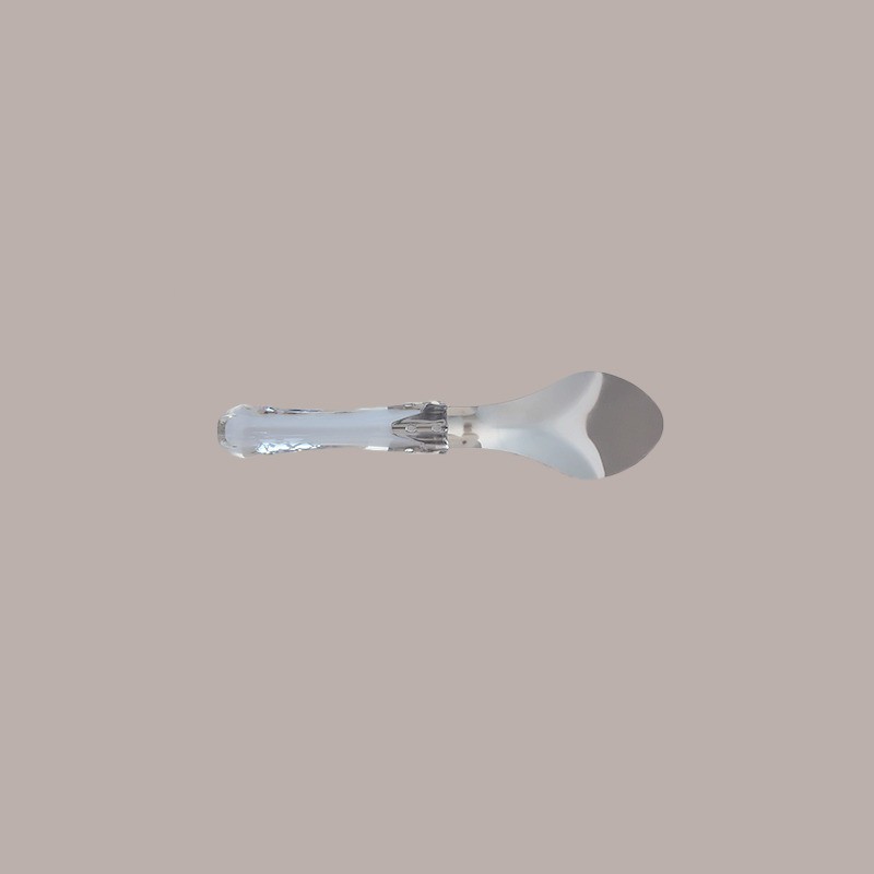 Spatola Acciaio con Manico Policarbonato Trasparente Ideale per Gelato 26cm [b65c6d47]
