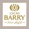 750 gr Cacao in Polvere 100% Leggero Sgrassato Légère 1% Performante Barry [df649066]