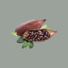 1 Kg Cacao Amaro Intenso in Polvere 100% Rouge Ultime Cameroun 20-22% Universelle Barry [5d980f79]