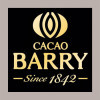 550 gr Burro di Cacao Mycryo in Polvere per Temperaggio Cioccolato Barry [6207f15b]