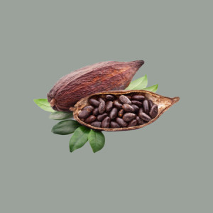 1 Kg Cacao Magro Beige in Polvere 100% Nature Fruitèè 10-12% Biologico Santo Domingo Barry