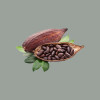 1 Kg Cacao Magro Beige in Polvere 100% Nature Fruitèè 10-12% Biologico Santo Domingo Barry [11f71ec0]