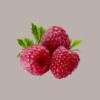 1,5 Kg Purea di frutta 100% Gusto Lampone Conservazione a Temperatura Ambiente [bfdafc49]