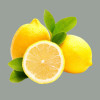 12 x 100 Ml Sorbetto Gusto Limone di Sicilia Senso Freddo Pronta da Gelare DOLFIN [3069c9b1]