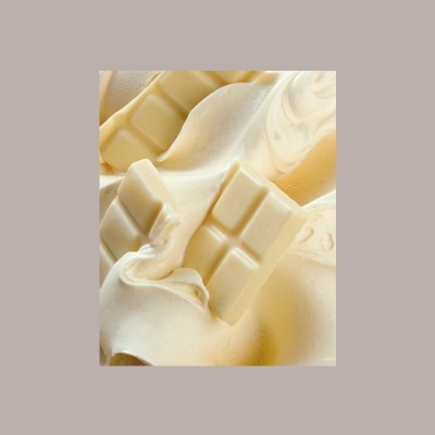 Box Avorio Gusto Cioccolato Bianco Leagel Preparato in Polvere ideale per Gelato 1,5 Kg [605f66c3]