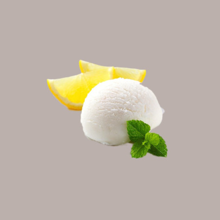 1,25 Preparato in Polvere per Gelato Easy Gusto Limone Bon Bon Leagel [5ebb692d]