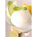 1,25 Preparato in Polvere per Gelato Easy Gusto Limone Bon Bon Leagel [25b94dc2]