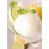 1,25 Preparato in Polvere per Gelato Easy Gusto Limone Bon Bon Leagel [25b94dc2]
