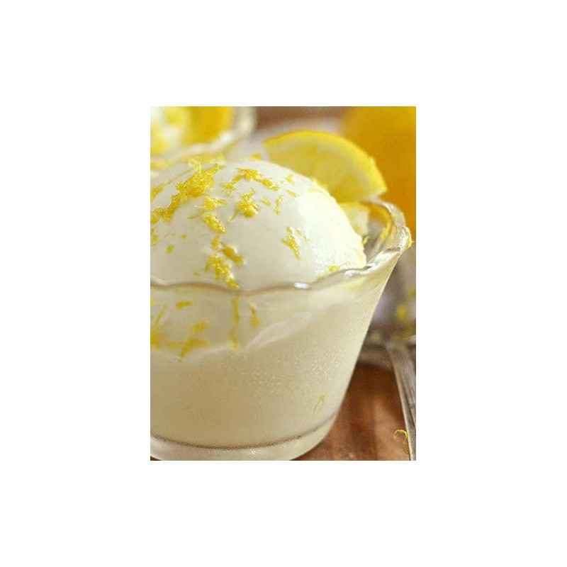 1,25 Preparato in Polvere per Gelato Easy Gusto Limone Bon Bon Leagel [20e90adc]