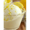 1,25 Preparato in Polvere per Gelato Easy Gusto Limone Bon Bon Leagel [20e90adc]
