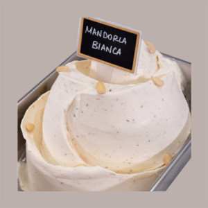 3,5 Kg Pasta Gusto di Mandorla Bianca con Mandorle Intere ideale per Gelato Leagel [d680baab]
