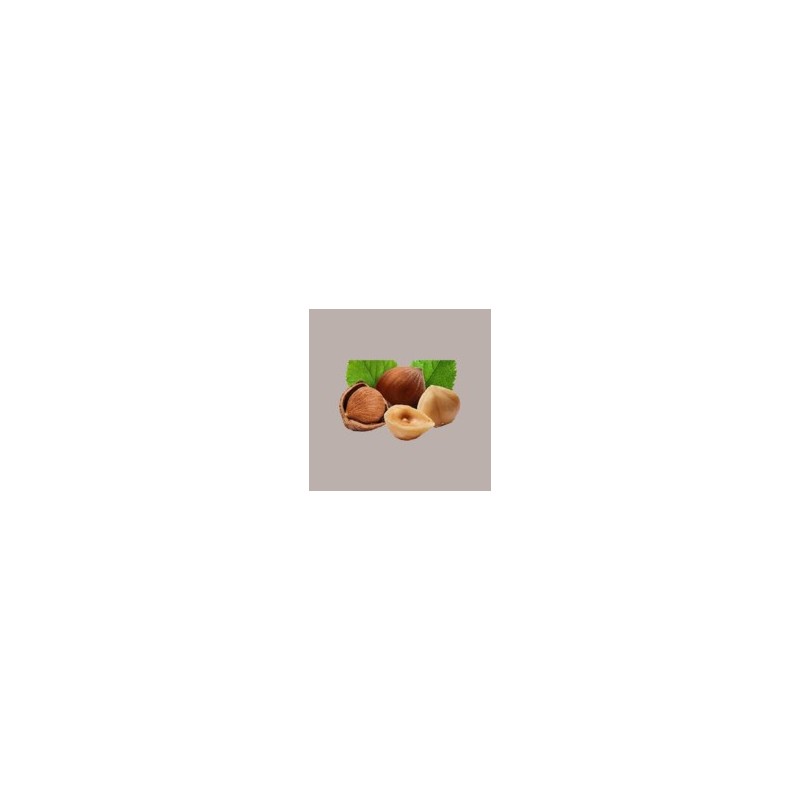 5 Kg Pasta Crema Gusto Nocciola Principe 100% Tostaura Forte ideale per Gelato Dolci Leagel [da8d6a5d]