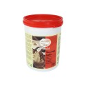 1,2 Kg Pasta Crema Gusto Nocciola Italia 100% ideale per Gelato Dolci Leagel [2bdcf862]