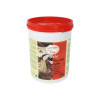 1,2 Kg Pasta Crema Gusto Nocciola Italia 100% ideale per Gelato Dolci Leagel [2bdcf862]