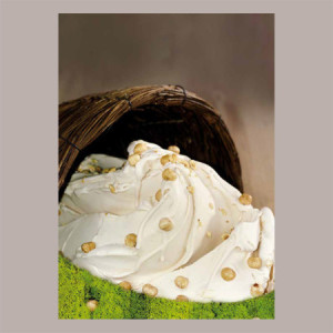 1,2 Kg Pasta Crema Gusto Nocciola Italia 100% ideale per Gelato Dolci Leagel [dfd3e47c]