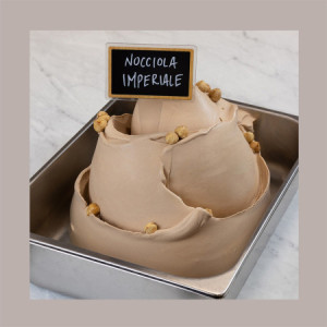 5 Kg Pasta Crema Gusto Nocciola Imperiale Ideale per Gelato Dolci Leagel [8bd873a0]