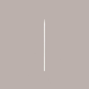 1000 Pz Spiedino Lungo 1 Punta Legno Bambù 250 mm Food [474ba7e7]