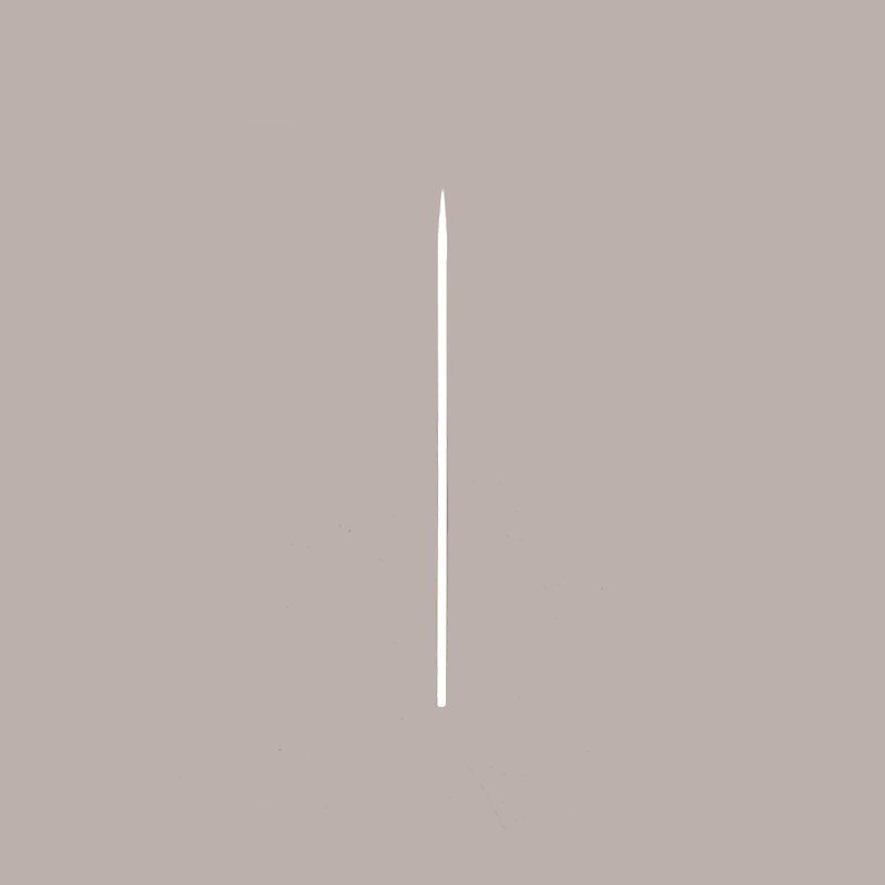 1000 Pz Spiedino Lungo 1 Punta Legno Bambù 250 mm Food [474ba7e7]