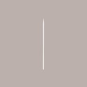 1000 Pz Spiedino Lungo 1 Punta Legno Bambù 250 mm Food [474ba7e7]
