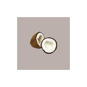 1,320 Kg Sciroppo per Granita Gusto Cocco Senza Glutine Toschi